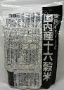 送料無料　国内産十六穀米　2袋セット　業務用　500g×2袋【レターパックプラスでお届け】種商