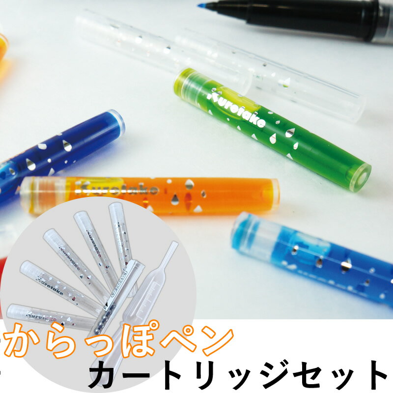 【先行販売】からっぽペン用カートリッジセット スポイト付き ECF160-699 好きなインクを補充できるカートリッジ