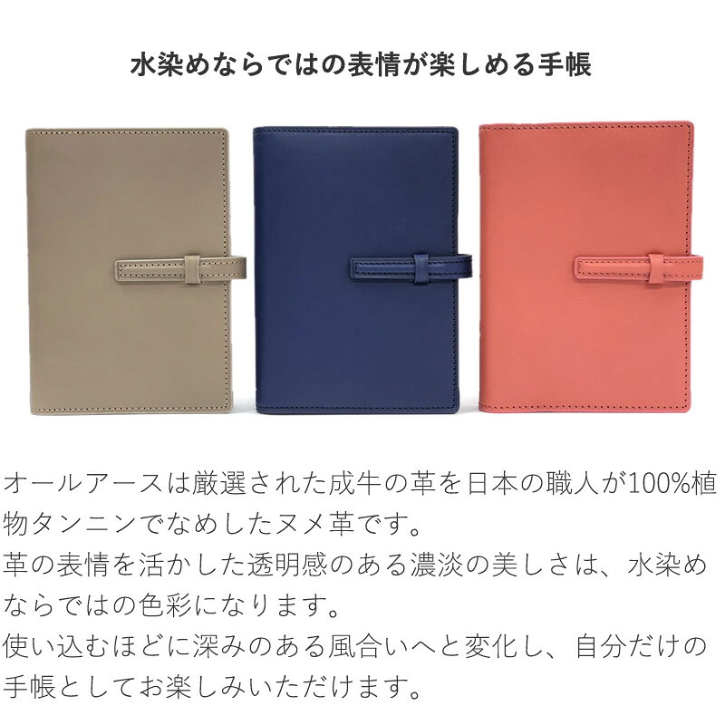 ダビンチ システム手帳 オールアース ミニ6サイズ ロック/ディープシー/サンゴ