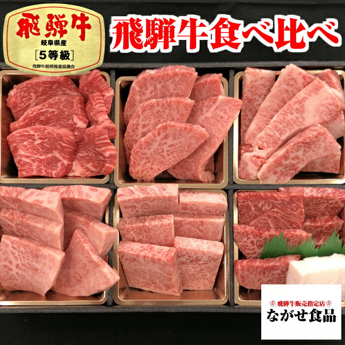 肉セット 最高級 A5等級 飛騨牛 6点 食べ比べ セット 600g ( 100g × 6種類 ） 希少部位 入り（ カルビ ミスジ 友三角 ランプ 赤身 ロース カイノミ イチボ 等々） 高級肉 ブランド牛 焼肉 贅沢 お取り寄せグルメ 父の日 食べ物 プレゼント 父の日ギフト お中元 お歳暮