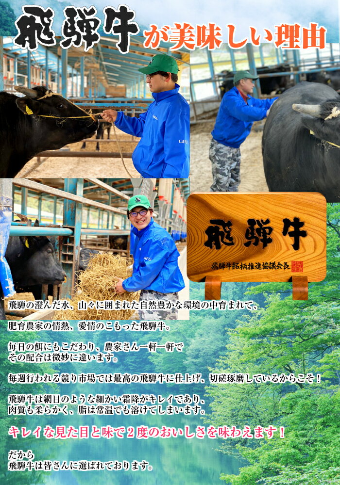最高ランクA-5飛騨牛焼肉(モモ・バラ)500gカルビロース赤身霜降BBQ送料無料お中元お歳暮お年賀記念日父の日母の日敬老の日ギフト肉セットプレゼント