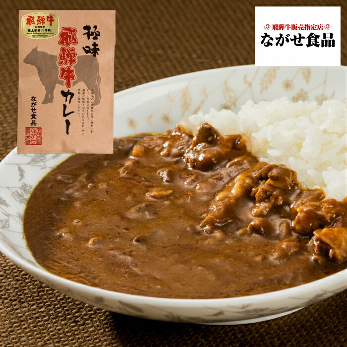 カレー 最高級 A5等級 飛騨牛 カレー 3食 セット 送料無料 のし対応 母の日 父の日 食べ物 プレゼント 父の日ギフト お中元 お歳暮 内祝い ギフト 厳選 霜降肉 お取り寄せグルメ