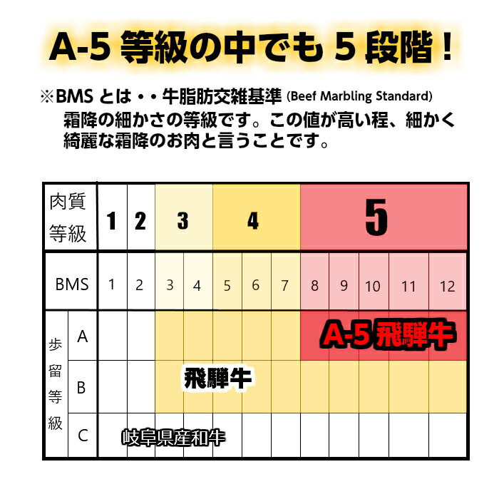 最高ランクA-5飛騨牛焼肉(モモ・バラ)500gカルビロース赤身霜降BBQ送料無料お中元お歳暮お年賀記念日父の日母の日敬老の日ギフト肉セットプレゼント