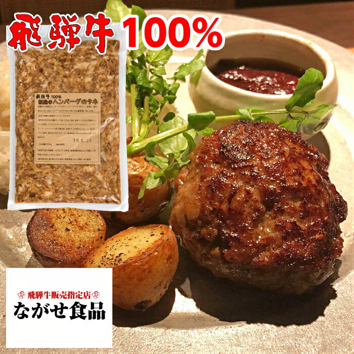 飛騨牛 粗挽き ハンバーグ たね 1kg ( 500g × 2 ) お取り寄せ お取り寄せグルメ 父の日 母の日 敬老の日 ギフト 食べ物 プレゼント 父の日ギフト 内祝 御祝 お中元 お歳暮 お年賀 のし対応 肉 高級肉