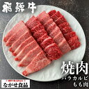  飛騨牛 焼肉 (もも バラ) 1kg バラ カルビ モモ 食べ比べ 送料無料 父の日 母の日 お中元 お歳暮 食べ物 プレゼント 父の日ギフト BBQ 贈答用 ギフト お返し 内祝 お取り寄せグルメ