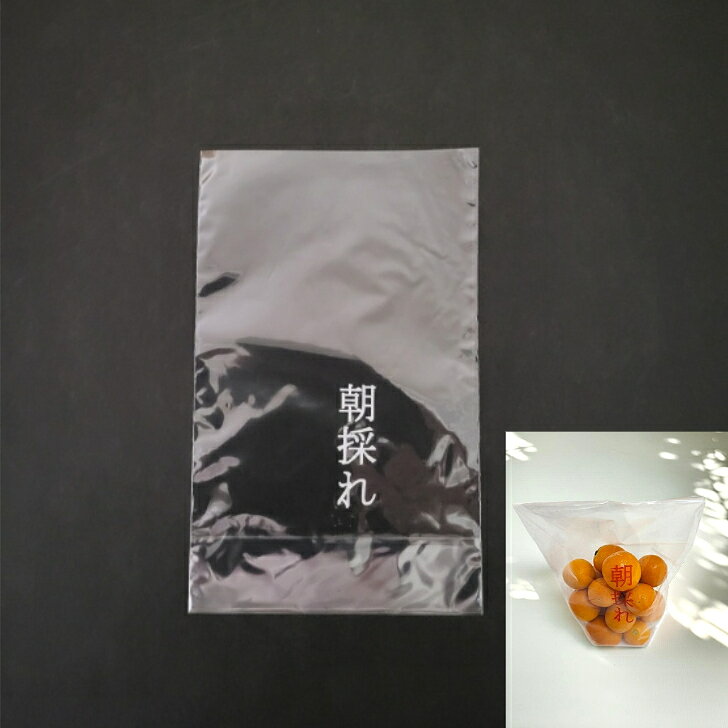 楽天市場】防曇 野菜 袋 黒の通販