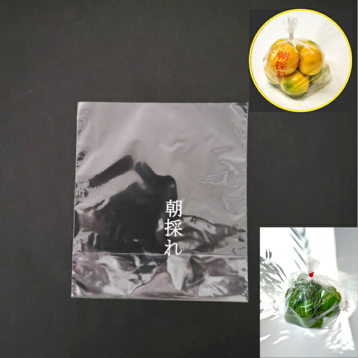楽天市場】フルーツ 透明 ビニールの通販