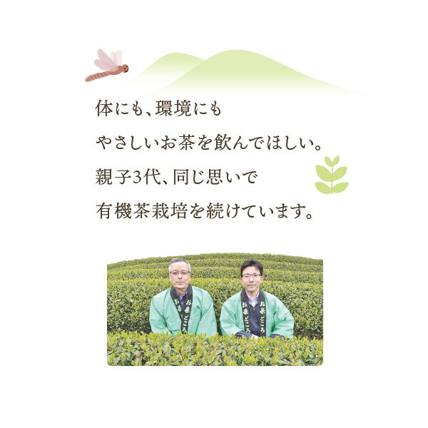 有機番茶青柳 (リーフ) 200g 有機緑茶 ...の紹介画像3