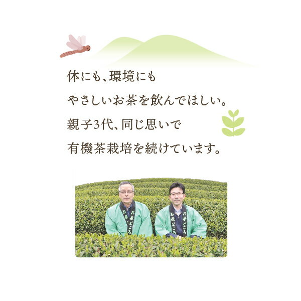 有機煎茶 (リーフ) 100g 茶葉 有機茶 ...の紹介画像3