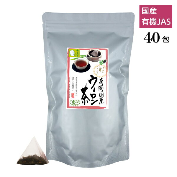 有機茶 烏龍茶 ティーバッグ お徳用 業務用 3g×40包 ウーロン茶 国産 日常使い オーガニック 茶 お茶 ティーパック 有機ひとすじ50年 京都永田茶園