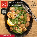 【公式限定】 耐熱オーバルプレート 小 長谷園 グリルパン グリルプレート 土鍋 耐熱皿 電子レンジ 直火 ガス火 オーブン 空焚きOK レシピ付 日本製 伊賀...
