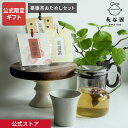 【公式限定 5点セット商品】 薬膳茶おためしセット ギフトセット 長谷園 土鍋 伊賀焼 お祝い 結婚祝い 新築祝い GIF-12