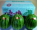 【秀品】魚沼八色(やいろ)産小玉西瓜八色っ娘(やいろっこ)3玉入1箱【入荷後順次発送させていただきます】【送料込み】