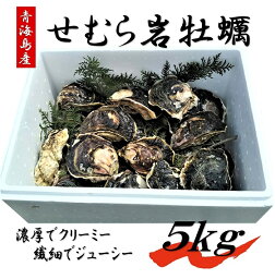 せむら岩牡蠣5kg 夏のBBQに 貝が巨大で盛り上がる！ 岩牡蠣 夏が旬 牡蠣 かき カキ 岩がき 岩ガキ せむら牡蠣 5kg 冷蔵 長門市 道の駅 センザキッチン 青海島 旬のギフト【まるごとながと】