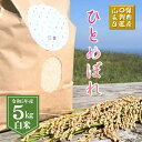 日置ノ庄5kg 白米 米 こ