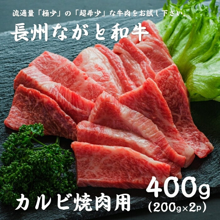 長州ながと和牛「カルビ焼き肉用」200g×2 合計400g 牛肉 焼き肉 焼肉 バーベキュー 夏のBBQに ギフト 和牛 wagyu 知る人ぞ知る ブランド ながと和牛 長門市 道の駅 センザキッチン まるごとながと【やまぐちECエール便】のサムネイル