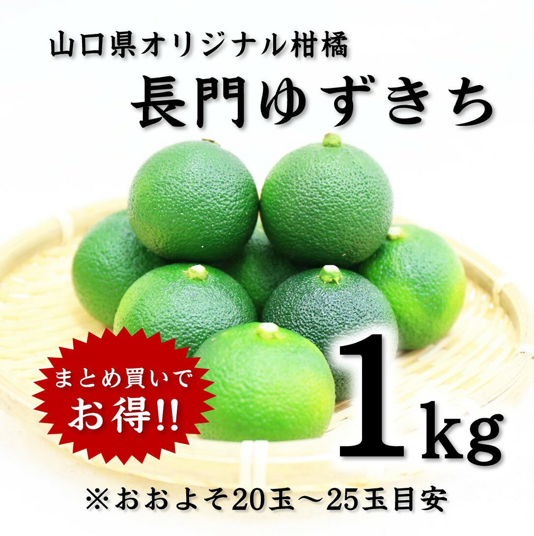 長門ゆずきち1kg　ゆずきち 山口県オリジナル柑橘 何にでも合う 長門市 まるごとながとのサムネイル