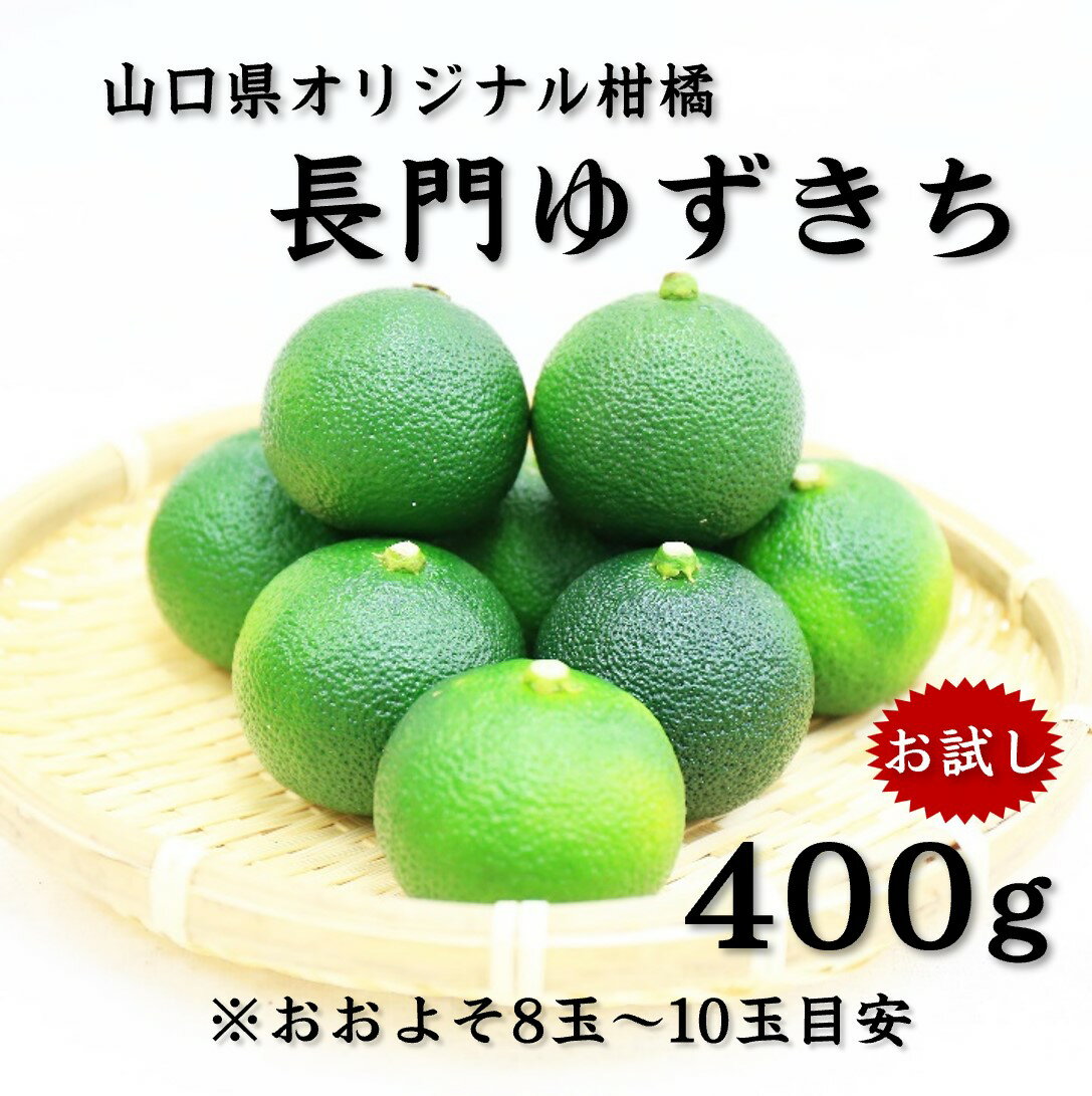 長門ゆずきち400gお試し　ゆずきち 山口県オリジナル柑橘 少量 何にでも合う 長門市 まるごとながとのサムネイル
