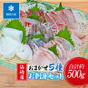 【やまぐちECエール便】刺身 盛合せ 5種 セット 冷凍刺身 小分け 食べきり 包丁 不要 新鮮 瞬間冷凍 ギフト対応