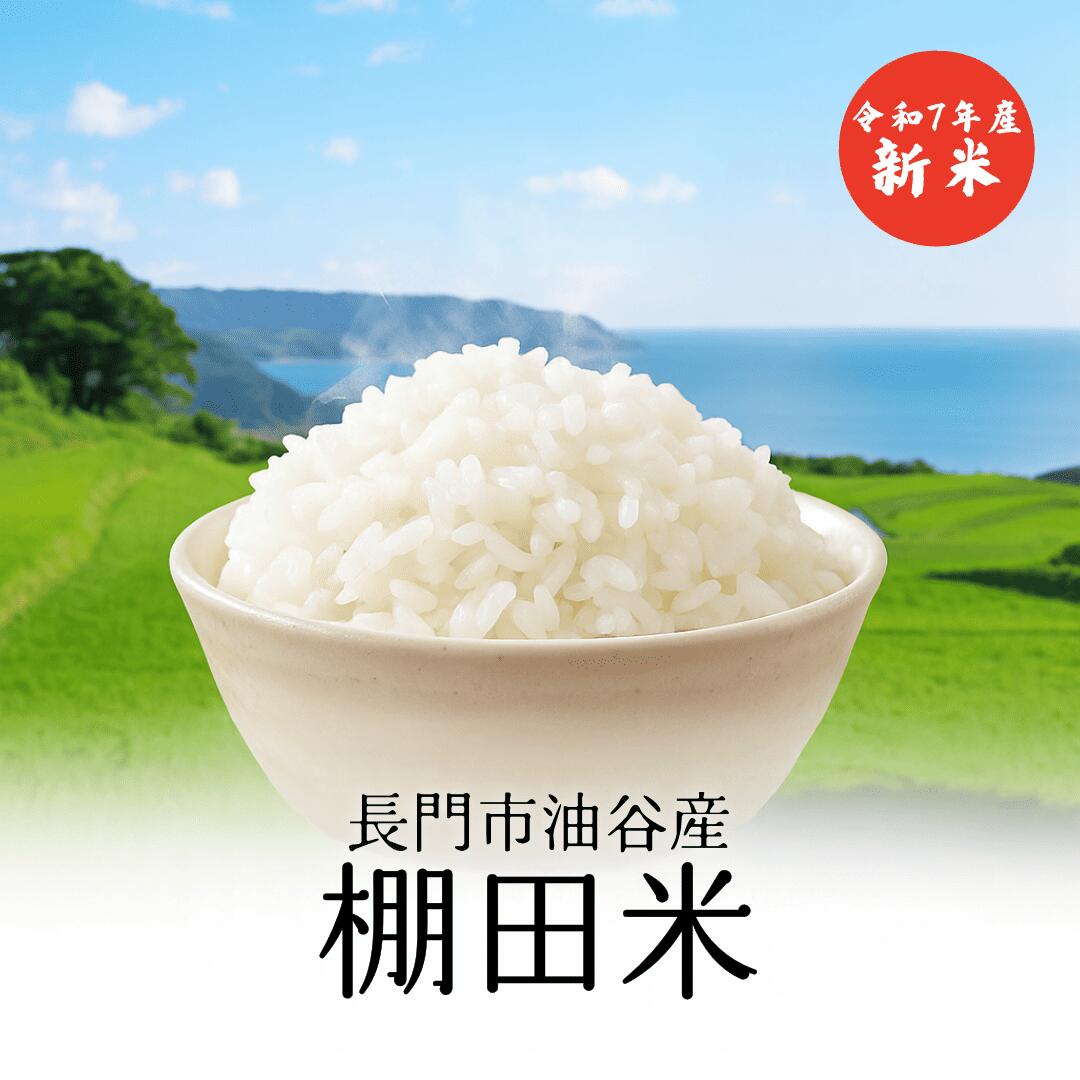 【新米 令和7年産】山口県長門市油谷 棚田百選の地で育った 棚田米 きぬむすめ《精米・玄米》順次発送