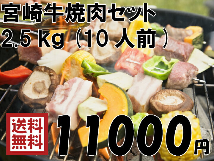 【送料無料】宮崎牛焼肉セット　2.5kg（10人前）