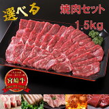 宮崎牛 バーベキュー ワイワイセット 5人用 1.5kg 送料無料 肉 セット 大人数 パーティー 豚肉 鶏肉 ホルモン 焼肉 ウインナー レバー