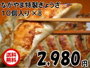 送料無料 ながやま 特製ぎょうざ 10コ入り 8 手作り 日本一ぎょうざ 宮崎県