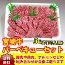 宮崎牛バーベキューワイワイセット10人用（3kg）（肉、セット、大人数、パーティー、豚肉、鶏肉、ホルモン、焼肉）