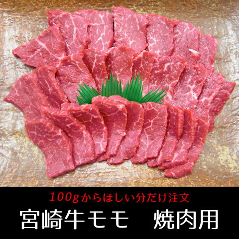 宮崎牛モモ焼肉　100g　（牛肉、バーベキュー、BBQ、霜降り、A4、A5等級）