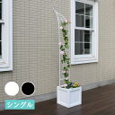アイアンハーフアーチ(シングル)【送料無料 アイアンアーチ 門 鉄製 ハート 花 フェンス ガーデンアーチ おしゃれ 小型 北欧 ガーデニング 屋外 家具 ツタ...