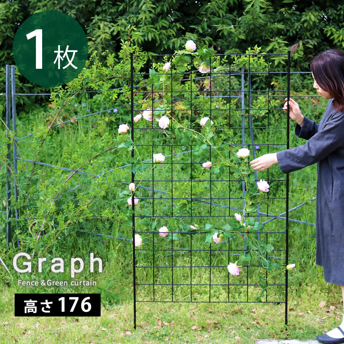 Rakuten - アイアンフェンス 高さ176 「グラフ」 1枚【送料無料　フェンス　アイアン　ガーデンフェンス　ガーデニング 枠　柵　仕切り　目隠し　境目　クラシカル　アンティーク　格子　ベランダ つる　薔薇　バラ　朝顔　園芸　ラティス つるバラ 庭誘引 屋外 】