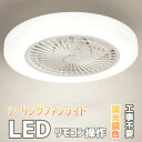 シーリングファンライト LED DCモーター 50cm リモコン操作 LED おしゃれ 北欧 シーリングファン オシャレ おしゃれ ファン付き照明 6段階調節 静音 軽量 シーリングライト かわいい 4畳 6畳 8畳10畳 調光調色 薄型 子供部屋 天井直付灯 高寿命 LED内蔵