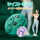 ツイストボード 体幹 ウエスト 体幹トレーニング ねじり運動 ダイエット スピンボード エクササイズ バランス 器具 運動不足 フィットネス 室内 ツイスト運動 健康器具 姿勢矯正 痛み緩和 コンパクト 美脚 太ももせ(4)