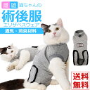 【短納期】術後服 猫用 避妊 去勢 着せやすい 傷舐め防止 雌雄兼用 調節可能 猫服 介護服 術後ウェア ペット介護 ペット用品 オス メス 傷口保護 皮膚保護...