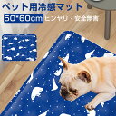ひんやりマット ペット クールマット 60*50cm クールマット ひんやりシート ペット用品 夏用 ひえひえ 涼しい 冷却マット 涼感冷感ジェルマット 冷たい...