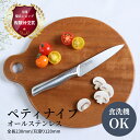 【レビュー特典!!】 オールステンレス ペティナイフ 12cm | 三星刃物 関市 日本製 食洗器対応 衛生的 オールステン ペティー ぺてぃー ナイフ 果物ナイフ よく切れる 小さめ 実用的 ギフト プレゼント 贈り物 結婚祝い 誕生日 新生活 一人暮らし 母の日