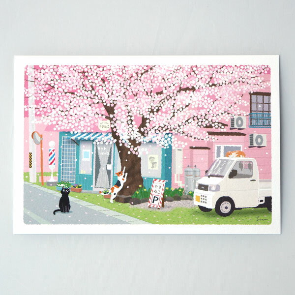 Rakuten - 春 たびねこ ポストカード 桜通りの理髪店 (c) もりとしのり PPA-257h メール便 猫 ネコ 絵はがき y