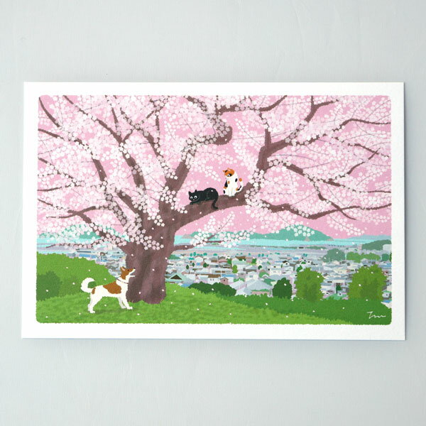 Rakuten - 春 たびねこ ポストカード 丘の上の桜 (c) もりとしのり PPA-259h メール便 ねこ 猫 ネコ 絵はがき y