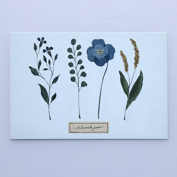 pampeliska 水色 thank you ポストカード 絵はがき メール便 フラワー 花柄