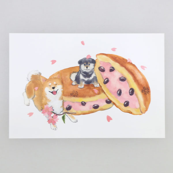 春 しばいぬと春 ポストカード 桜どら焼き (c) 村田夏佳 メール便 柴犬 シバイヌ どらやき 春のポストカード y