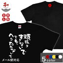 だるまTシャツ S/M/L/XL 黒/白/赤/青/黄 メール便対応 日本土産 お土産 外国人土産 開運 パワー 和柄 プレゼント　送料無料