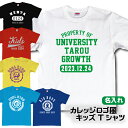 名入れ カレッジロゴ風 キッズTシャツ　名前入り お誕生日プレゼント 出産祝い 名入り　兄弟お揃い　姉妹お揃い　送料無料