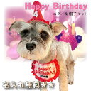 【名入れ送料無料】犬 猫 誕生日 グッズ 帽子 スタイ 誕生日セットバースデーコスチューム かわいい 記念日 撮影用