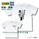 インスタTシャツ 文字入れ可能 インスタ映えオリジナル おもしろTシャツ フォロワー募集 お店のPR スタッフTシャツに ユニフォーム セミオーダー プレゼント S/M/L/XL 白 黒 赤 グレー ネイビー ロングTシャツ 白黒2色のみ ◆メール便対応◆商品番号sns-inst-3