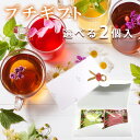 nagomi-NATULURE 選べる プチギフト(生分解性ティーバッグ1個×2種入) 9種類からお好きな2種類を選択可 ハーブティーやカフェインレス紅茶が愉し...