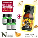 【先着500名様★ハロウィンアロマおまけ付き】アロマオイル エッセンシャルオイル オーガニック 選べる 精油 各3ml×4本 お試し セット 【送料無料】 アロマオイル 認定精油 ラベンダー ジュニパーベリー ローズマリー ハッカ イランイラン アロマディフューザー s1