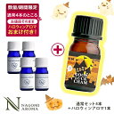 【先着500名様★ハロウィンアロマおまけ付き】アロマオイル ブレンドオイル 選べる 16種 各5ml×4本セット 【送料無料】 エッセンシャルオイル 精油 認定精油 ブレンドエッセンシャルオイル ブレンドアロマ アロマディフューザー エッセンシャル セット s1