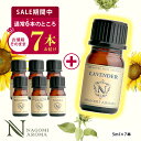 【今だけ★1本増量】アロマ エッセンシャルオイル 選べる 精油 各5ml×6本 セット 【送料無料】 アロマオイル ラベンダー オレンジ ユーカリ ユーカリ グレープフルーツ AEAJ認定 天然 サウナ ロウリュ エッセンシャル ティートゥリー アロマディフューザー