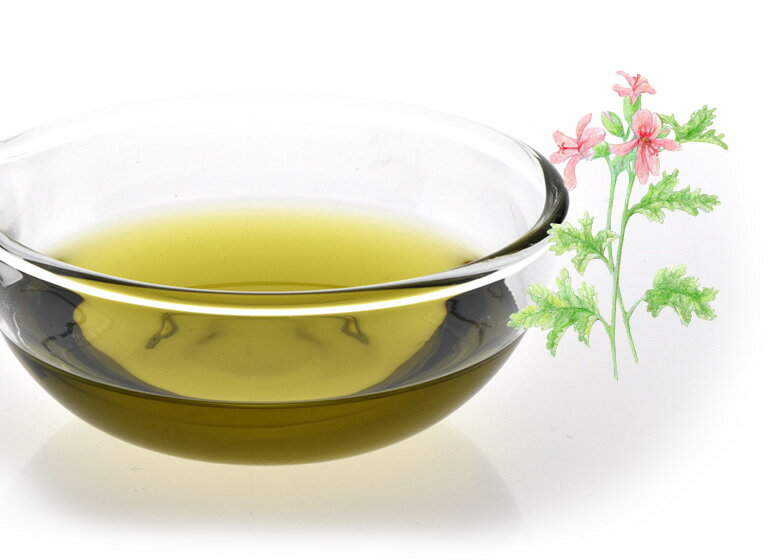 アロマオイル ゼラニウム・ブルボン 5ml エッセンシャルオイル 【 AEAJ認定 精油 NAGOMI PURE CONVOIL ゼラニウム pure5m 】