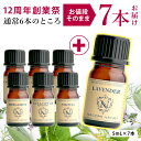 【12周年創業祭＋1本増量】アロマ エッセンシャルオイル 選べる 精油 各5ml×6本セット 【送料無料】 【 アロマオイル ラベンダー オレンジ ユーカリ ベルガモット ユーカリ グレープフルーツ AEAJ認定 天然 】